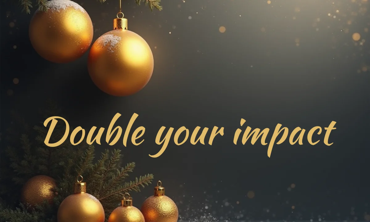 Double your impact. Donate today. Gold christmas ornaments on dark background